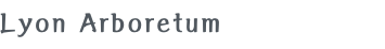 Lyon Arboretum